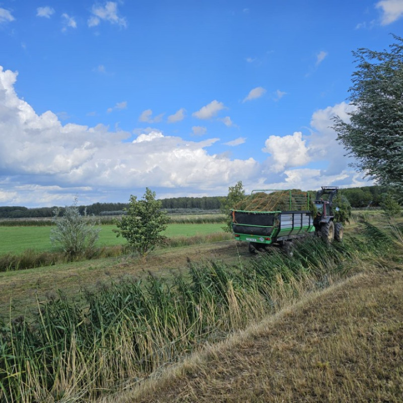 WhatsApp Image 2025 11 06 at 16.59.04