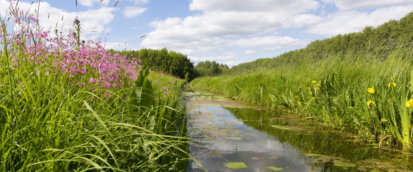 Pompveld Bart Poertzgen
