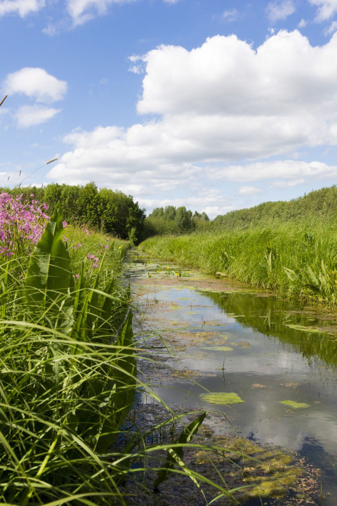 Pompveld Bart Poertzgen