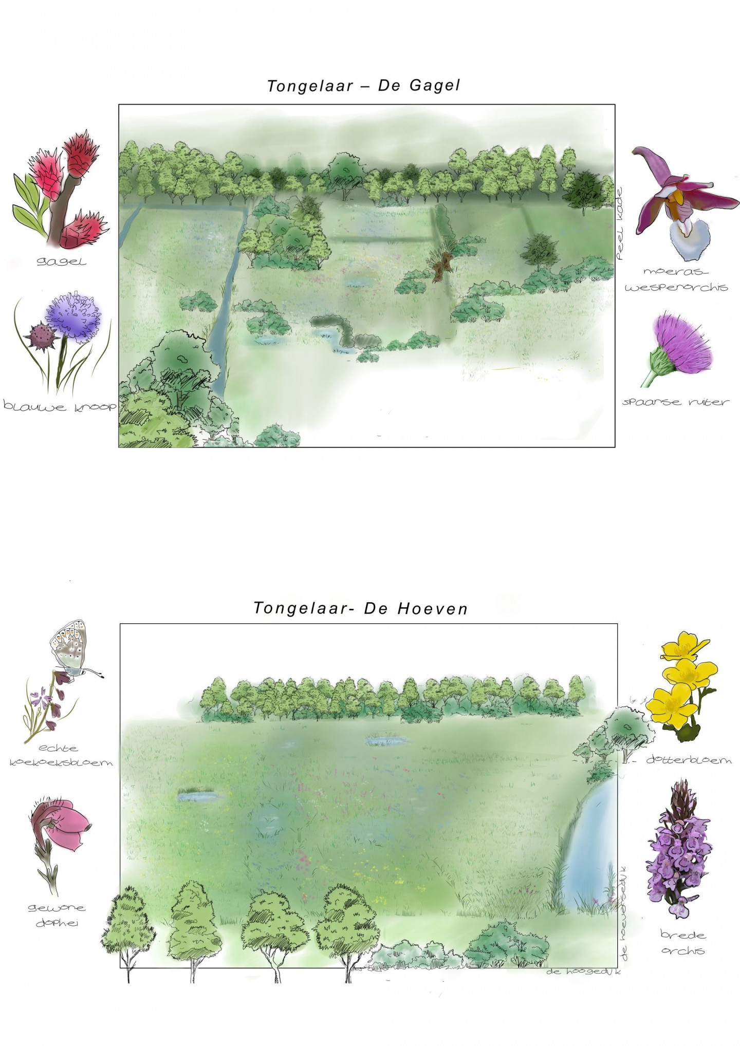 Toekomstschets2 - Henriëtte Huijzer