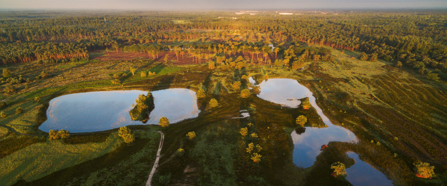 Luchtfoto Spinsterberg - De Groote Heide