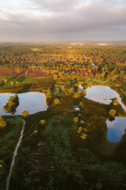 Luchtfoto Spinsterberg - De Groote Heide