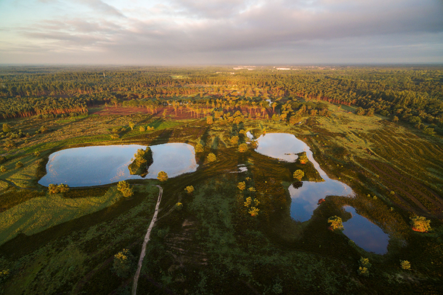 Luchtfoto Spinsterberg - De Groote Heide