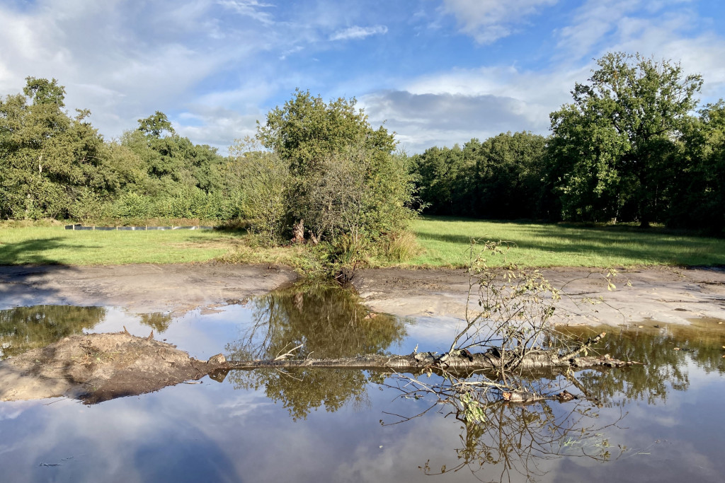 Natte Natuurparel Vloeiweide » Brabantslandschap.nl