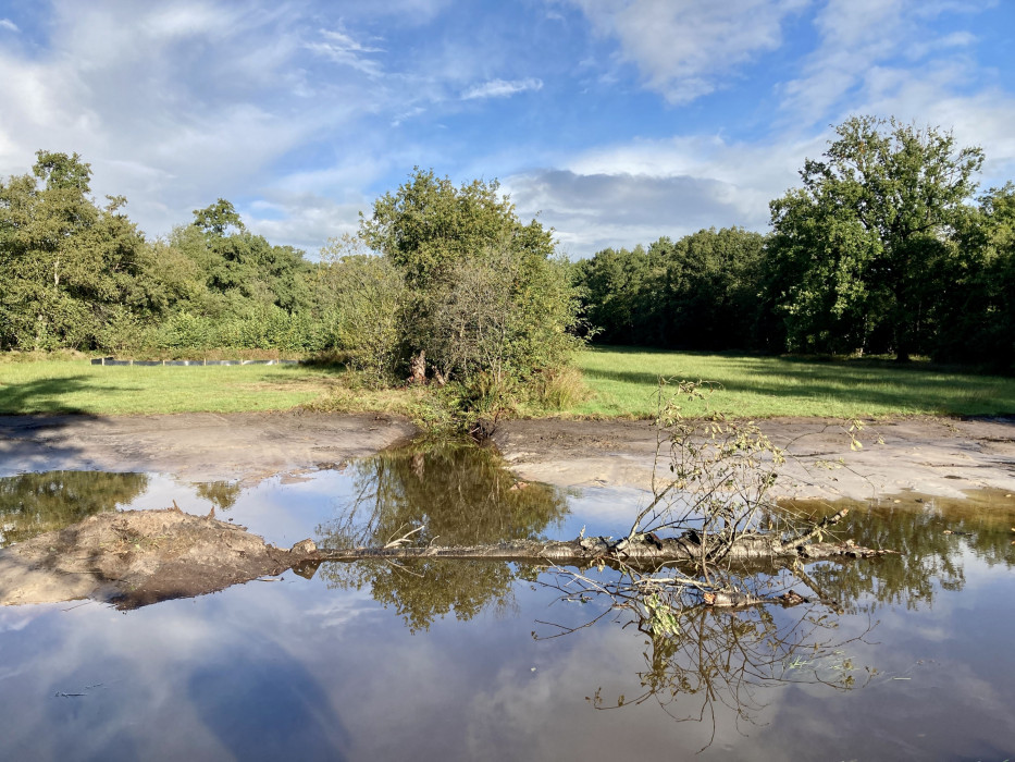 Vloeiweide Natte Natuurparel aanleg10