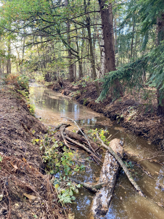 Vloeiweide Natte Natuurparel aanleg2