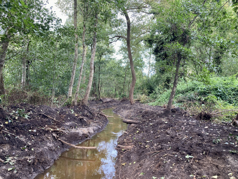 Vloeiweide Natte Natuurparel aanleg5