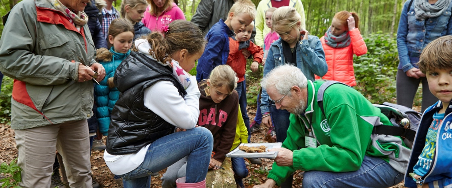 Kinderen met gids op pad