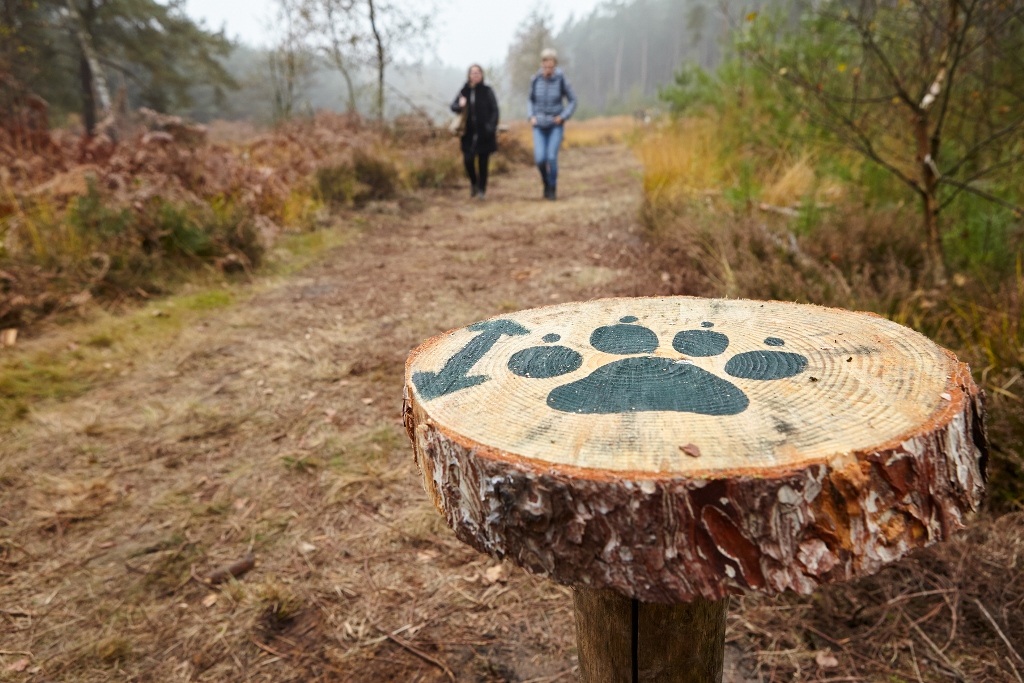 Speurtocht op de Groote Heide