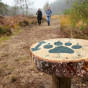 Speurtocht op de Groote Heide