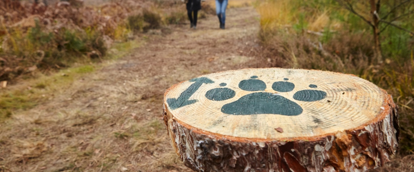 Speurtocht op de Groote Heide