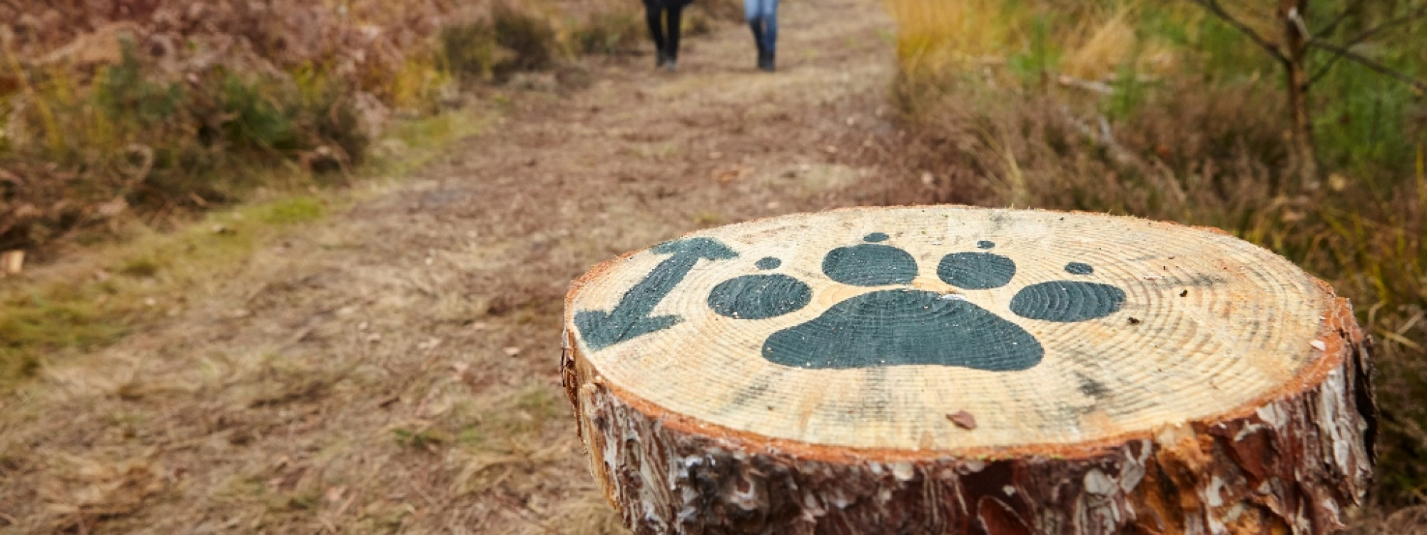 Speurtocht op de Groote Heide