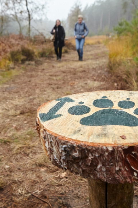 Speurtocht op de Groote Heide