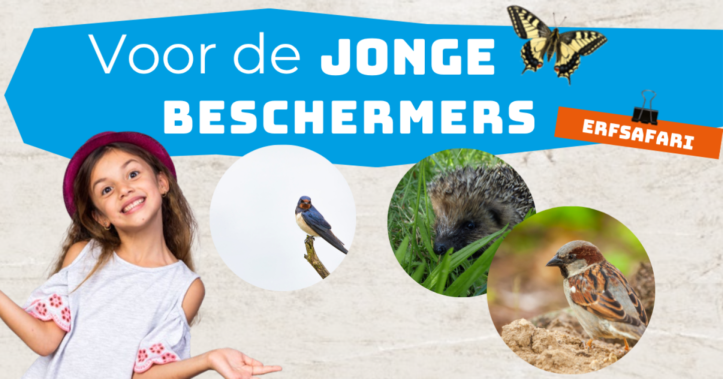 Erfsari   Zomer 2025