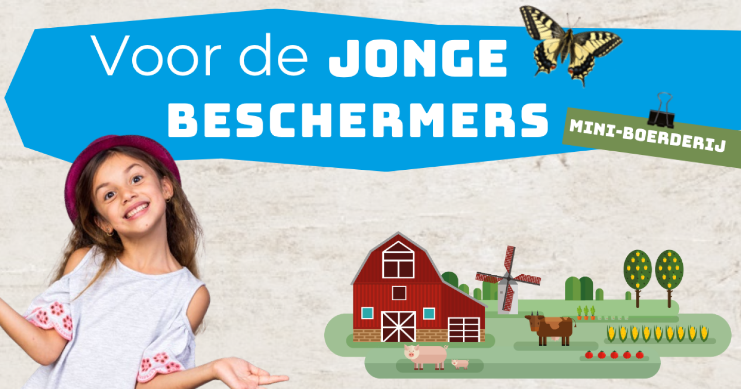 Mini boerderij   Zomer 2025