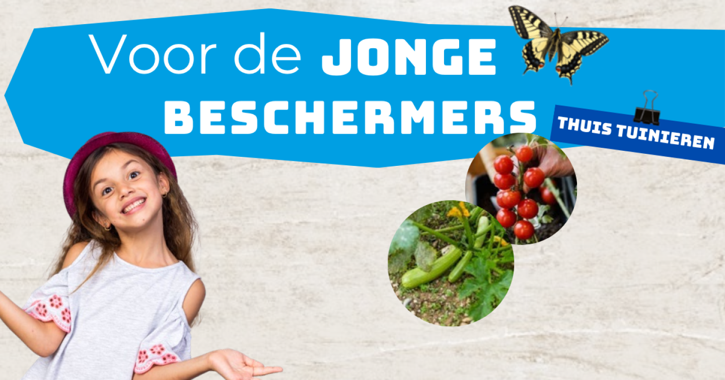 Thuis tuinieren   Zomer 2025