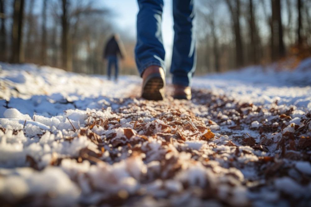 Wandelen in de winter
