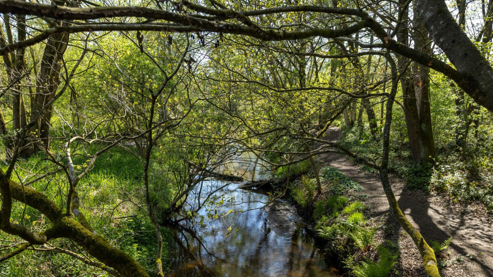 De Dommel - Jared Biljard