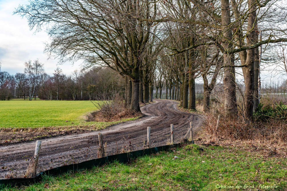 Zandpad Velderswegje Boxtel Lennisheuvel   Cobie van den Brink