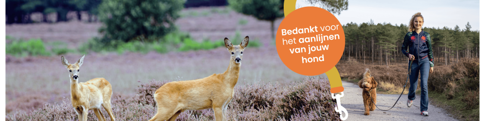 Hondenaandelijn website hero