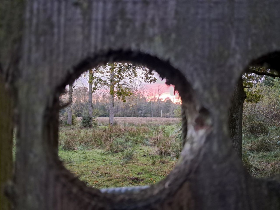 Bronstexcursie 2024 kijkscherm zonsopkomst