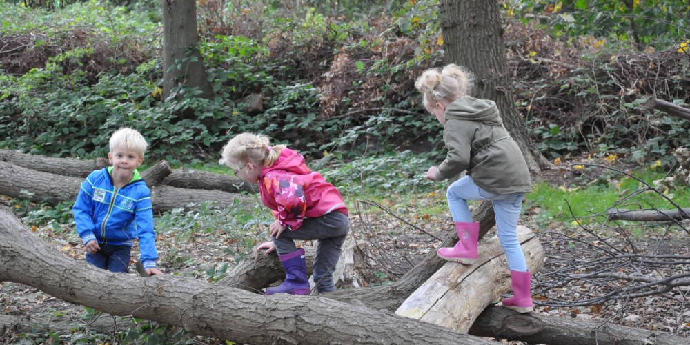 Kinderen in het klauterwoud Kraaijenberg