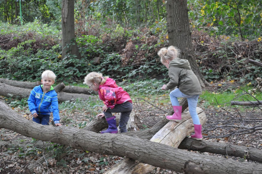 Kinderen in het klauterwoud Kraaijenberg