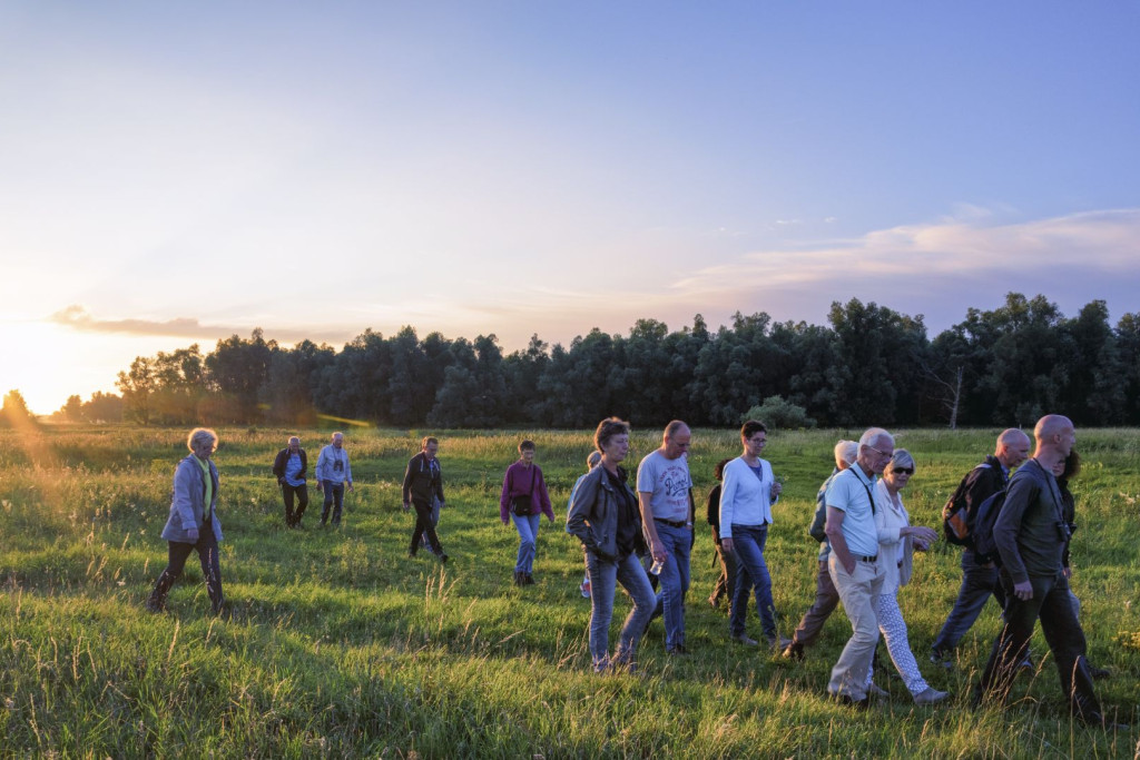 Excursie zomer Groesplaat - Bart Portzgen