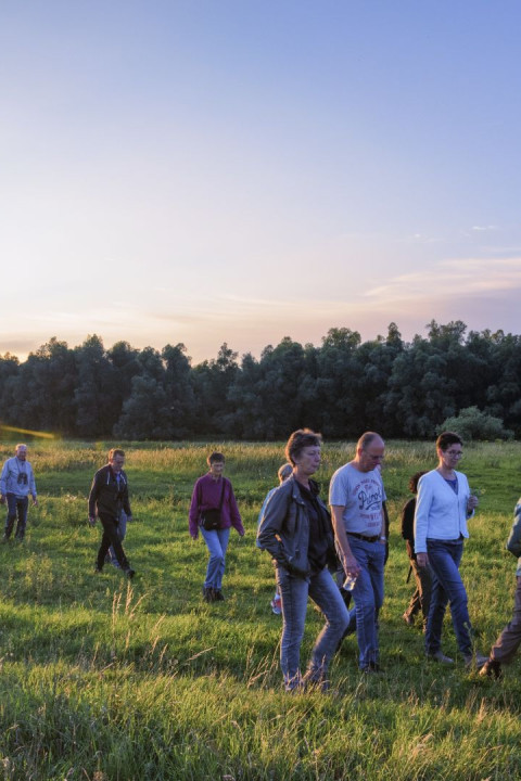 Excursie zomer Groesplaat - Bart Portzgen