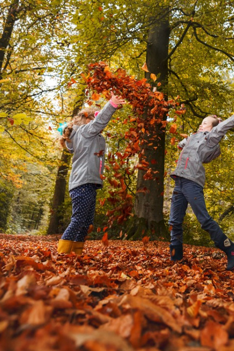 Herbertusbossen Herfstpret A0A4713 hires - Onbekend