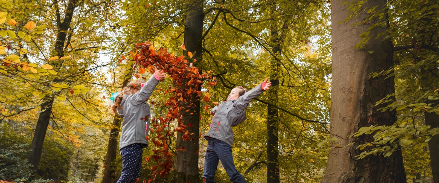 Herbertusbossen Herfstpret A0A4713 hires - Onbekend