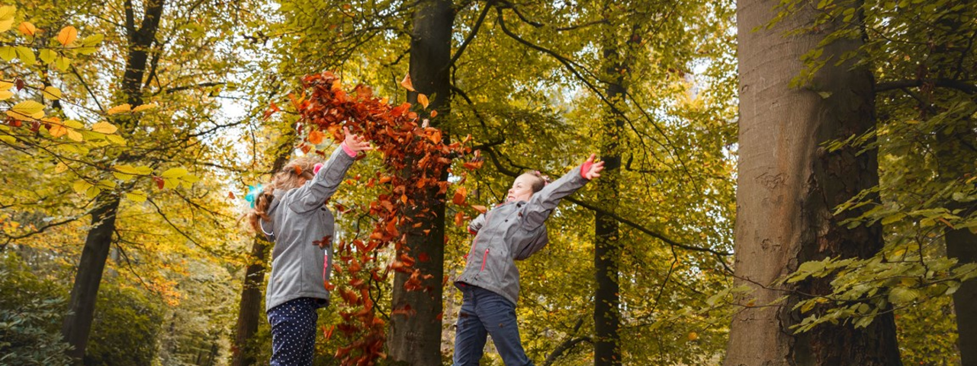 Herbertusbossen Herfstpret A0A4713 hires - Onbekend