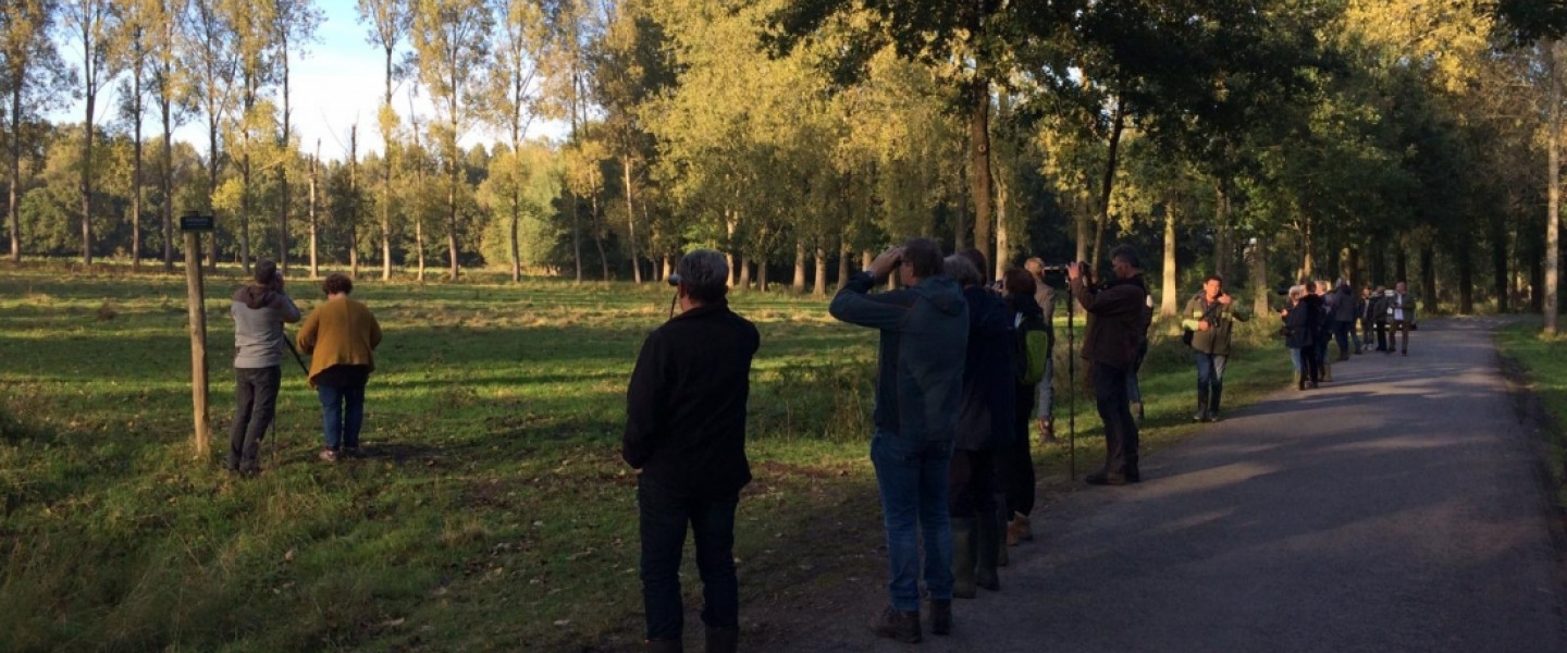 Herten en hindes langs de edelhertenboulevard - Brabants Landschap