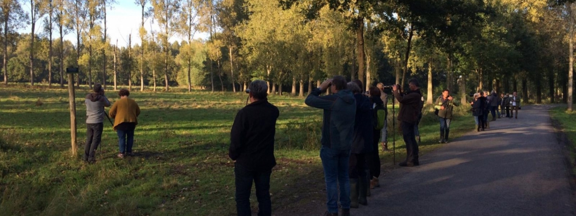 Herten en hindes langs de edelhertenboulevard - Brabants Landschap