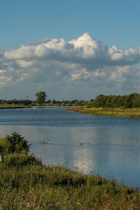 Maasarm in Keent - James van Leuven