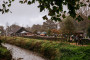 Natuurfeest Tongelaar 142
