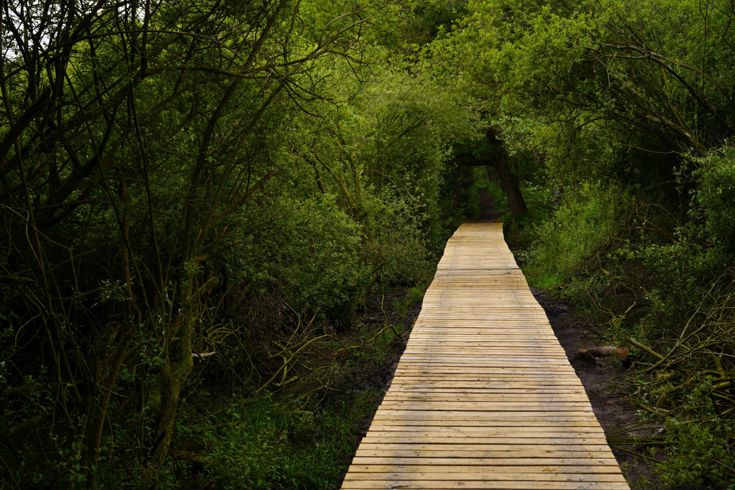 Opening vlonderpad op Pannenhoef