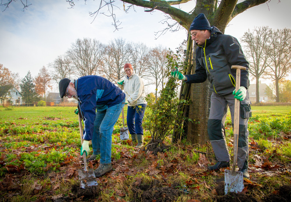WEB Plantactie Plan Boom 20211127 03