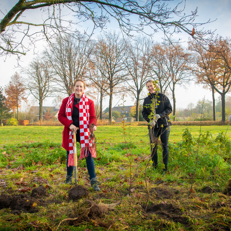 WEB Plantactie Plan Boom Erik van der Burgt