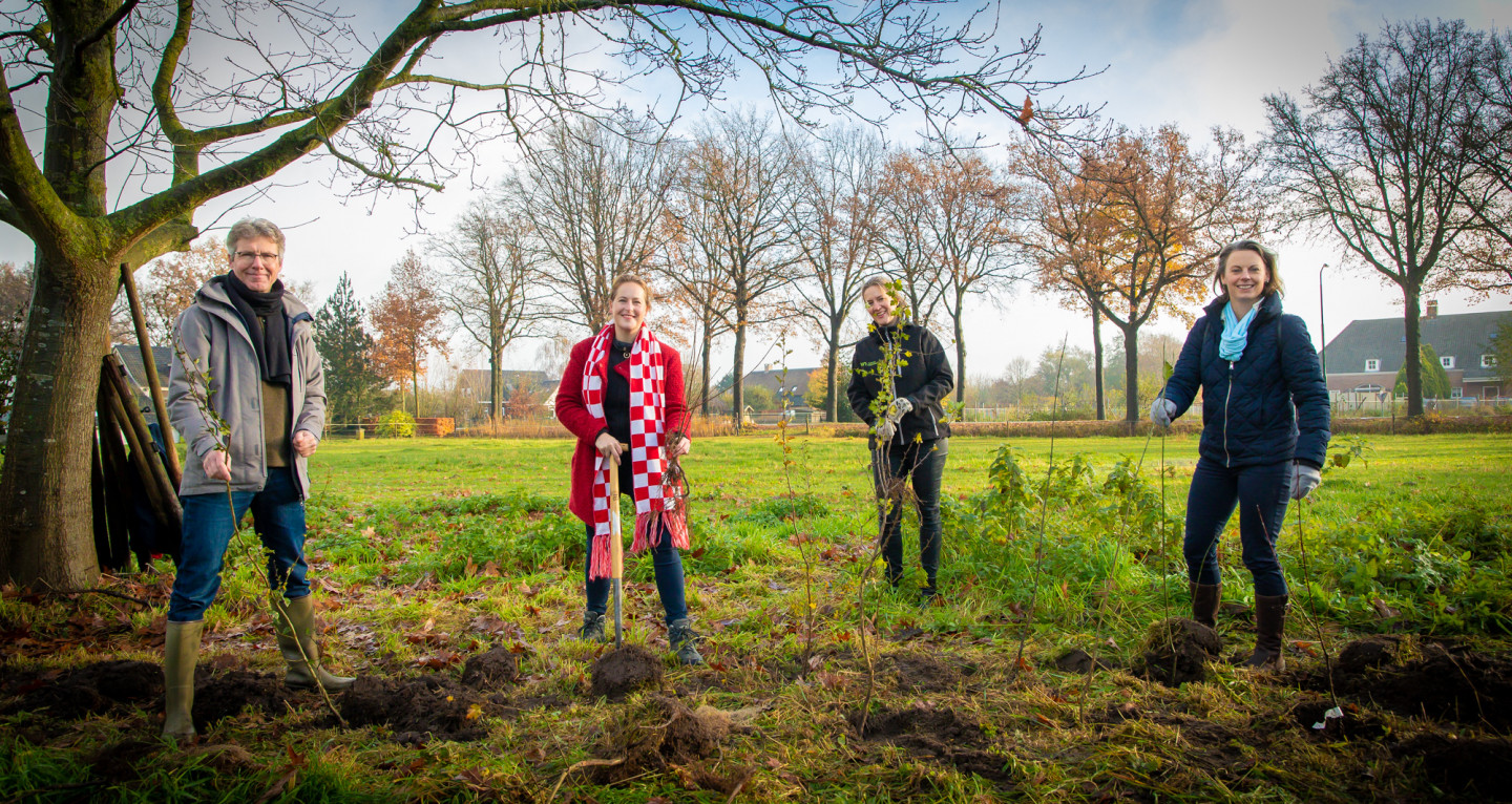 WEB Plantactie Plan Boom Erik van der Burgt