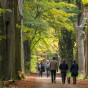 RIT 20161030 6574 Wandelende mensen op Gorp de Leij Brabants Landschap