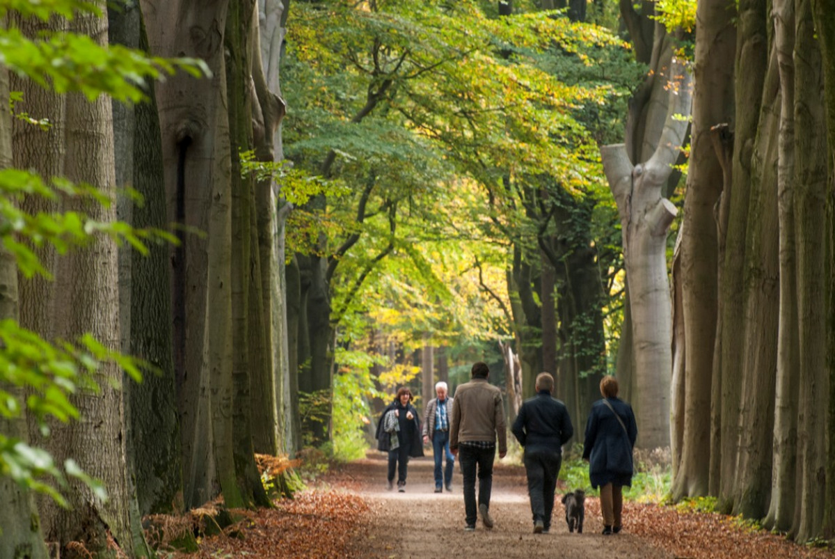 RIT 20161030 6574 Wandelende mensen op Gorp de Leij Brabants Landschap