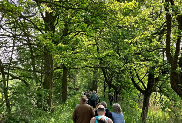 Foto van wandelende groep mensen door het Perenlaantje tijdens zintuiglijke wandeling op Landgoed Tongelaar