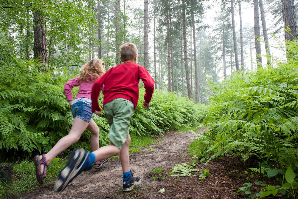 Rennende kinderen in het bos - Vossenstreken