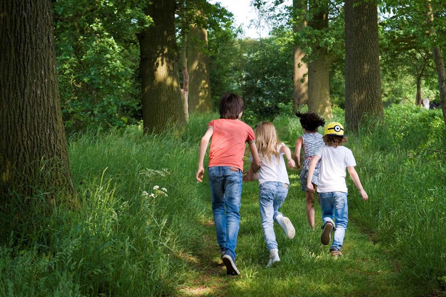 Wandelapp Natuurmuseum 1974