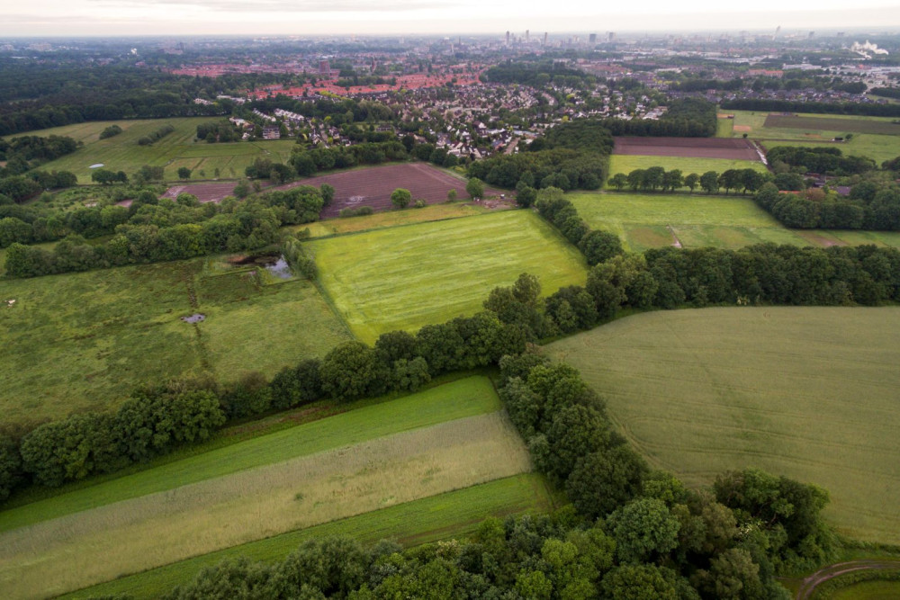 G G Gijzenrooij DJI 0254 MH