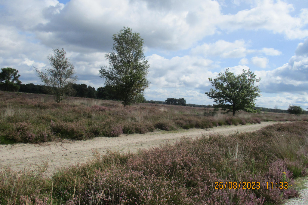 IMG 20241203 WA0013 v2