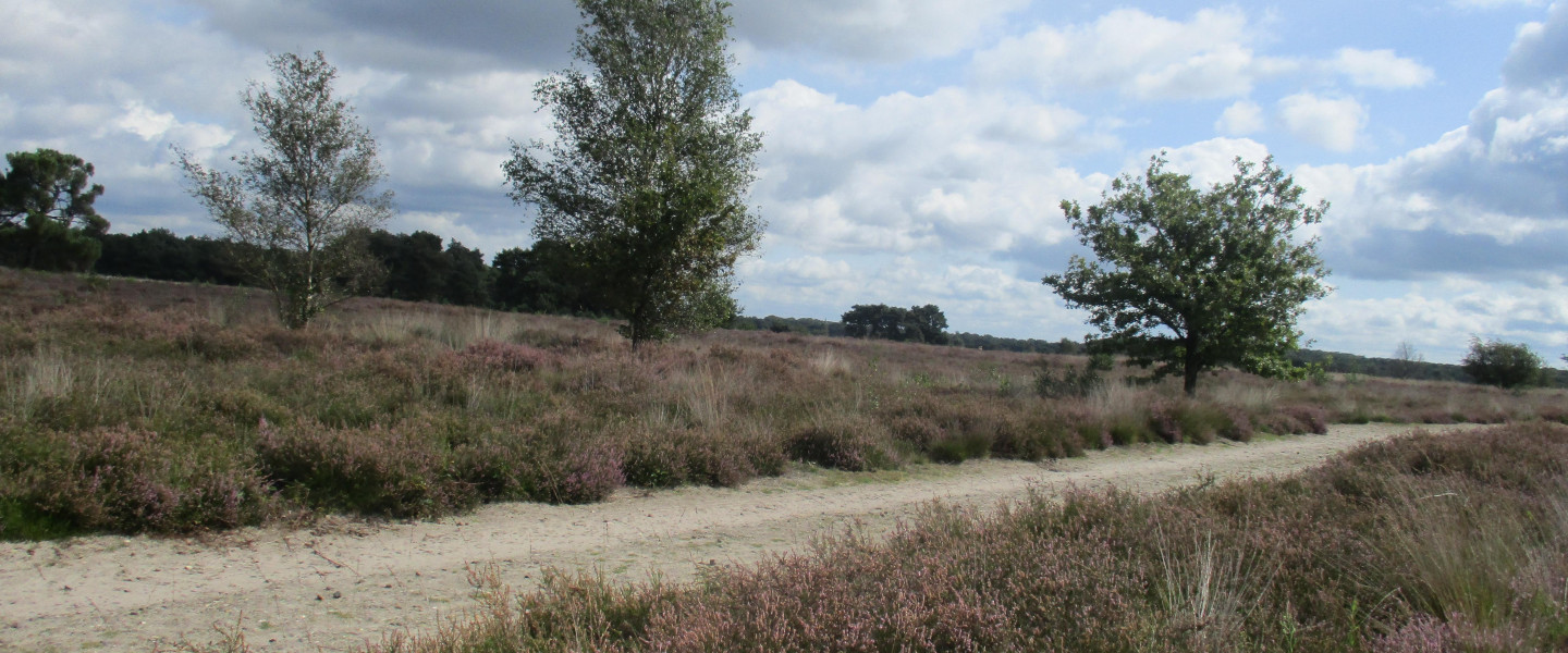 IMG 20241203 WA0013 v2