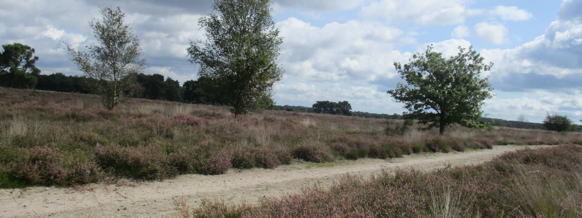 IMG 20241203 WA0013 v2