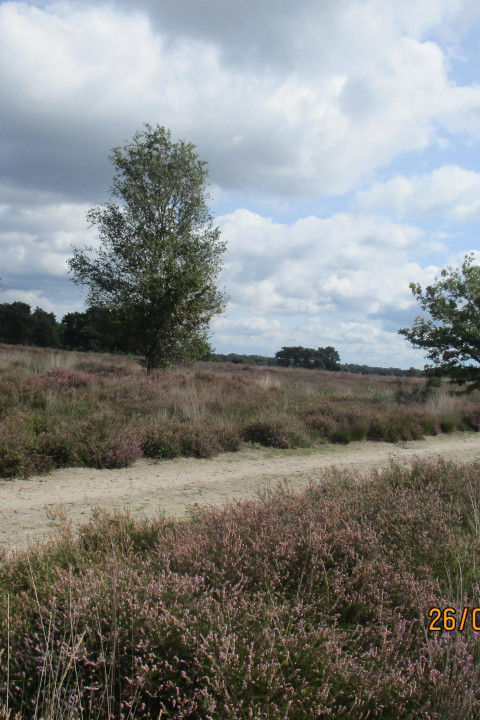 IMG 20241203 WA0013 v2